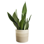 colour gradient rond 14cm beige grès